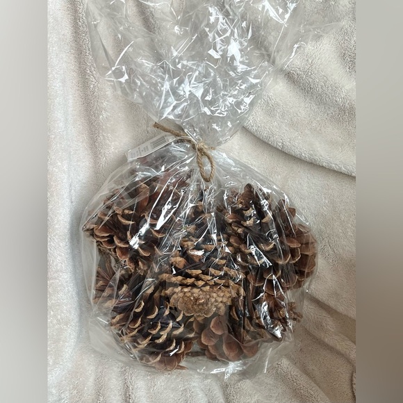 Pinecones (NWT) 5 pc $24.99 home decor - Picture 6 of 7